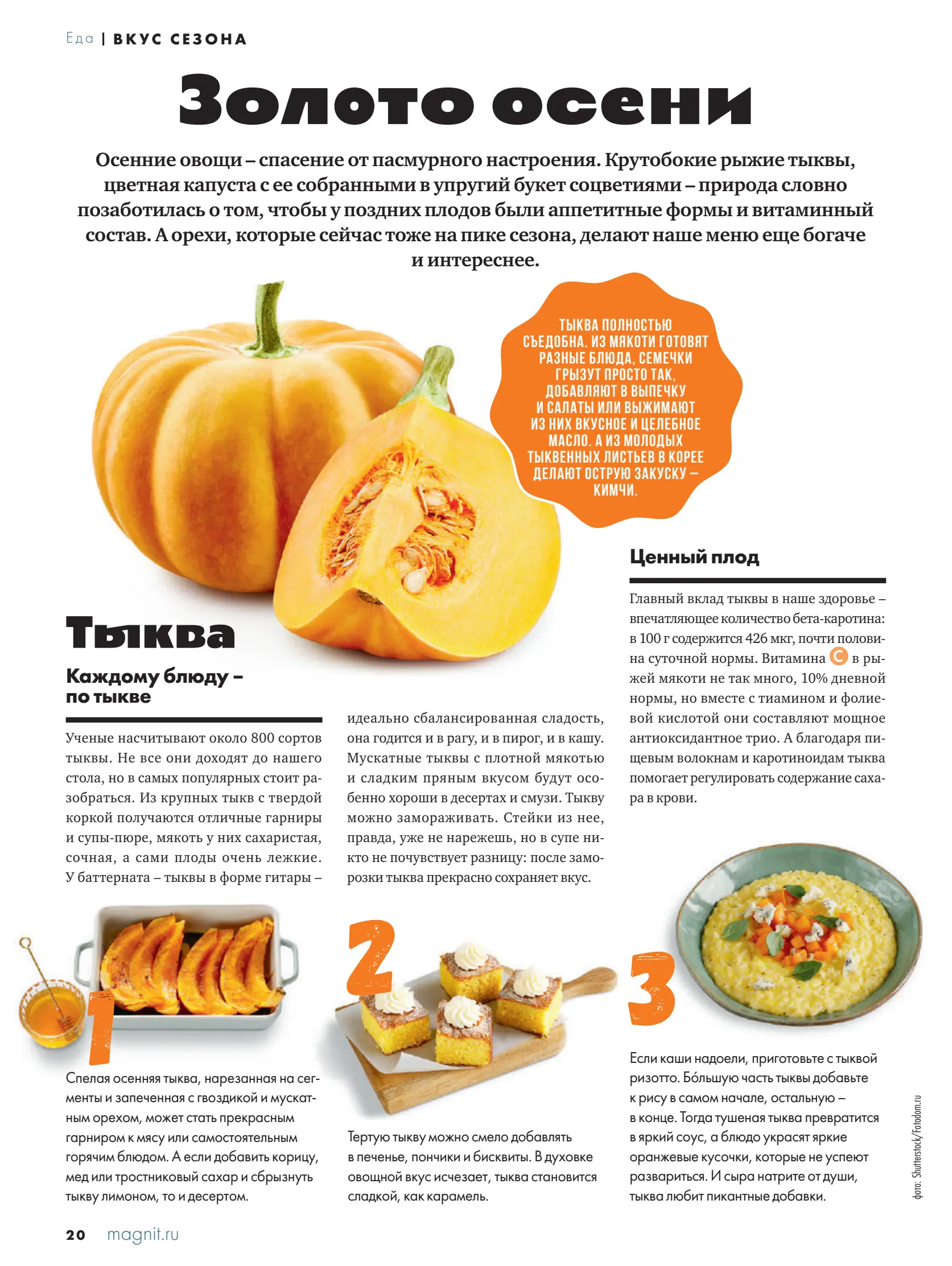 Журнал Магнит страница 21