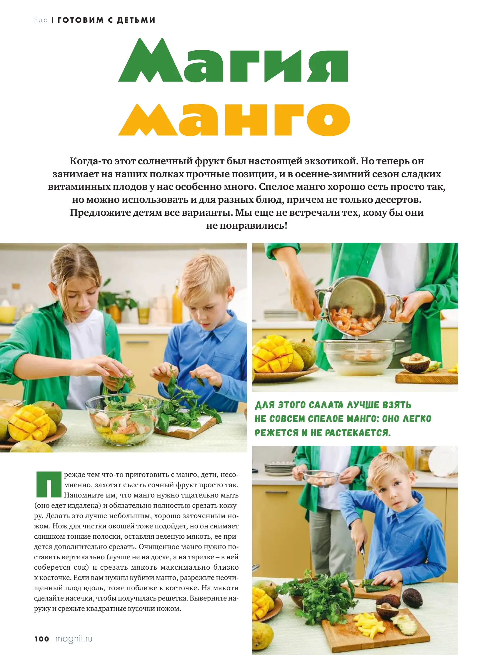 Журнал Магнит страница 101