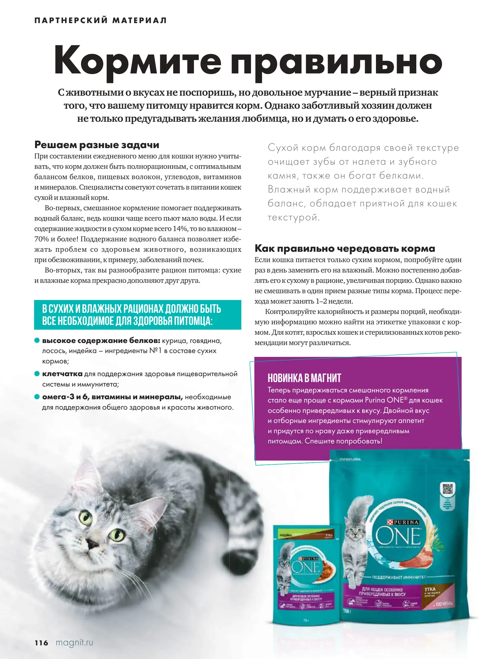 Журнал Магнит страница 117