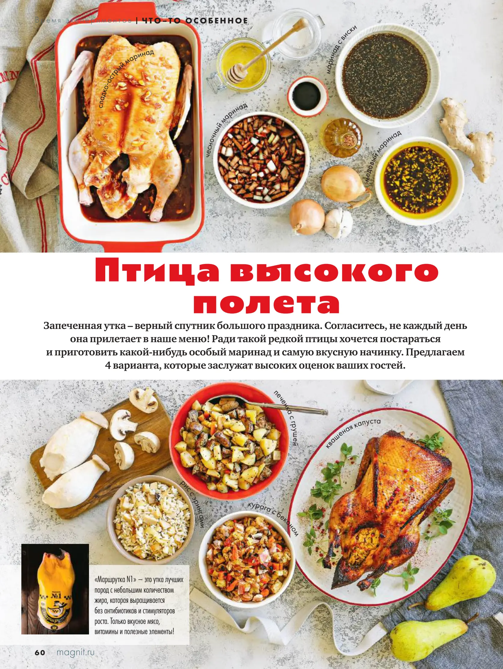 Журнал Магнит страница 61