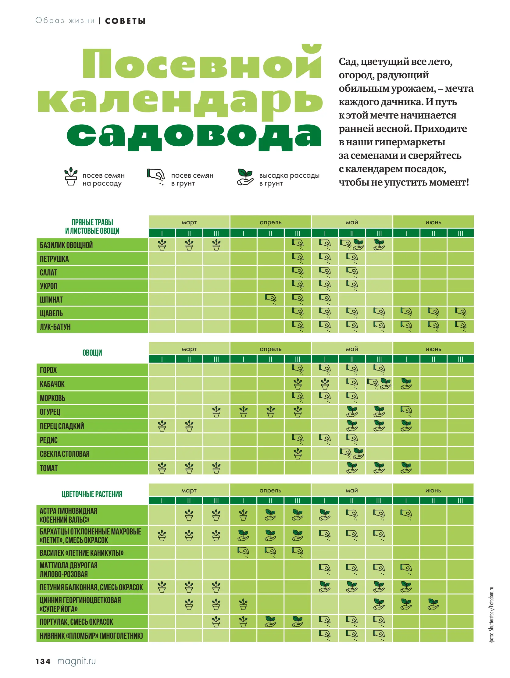 Журнал Магнит страница 135