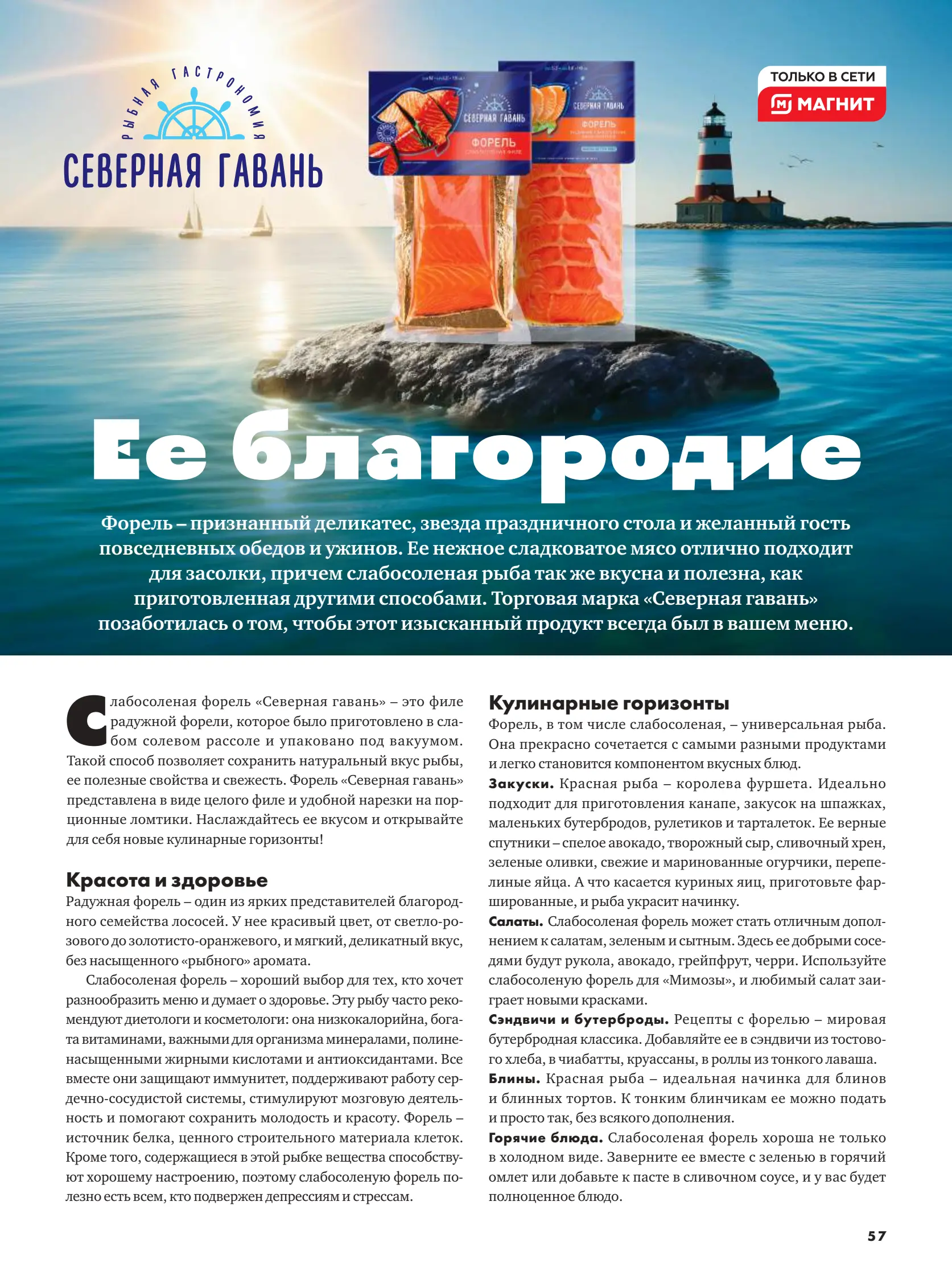 Журнал Магнит страница 58