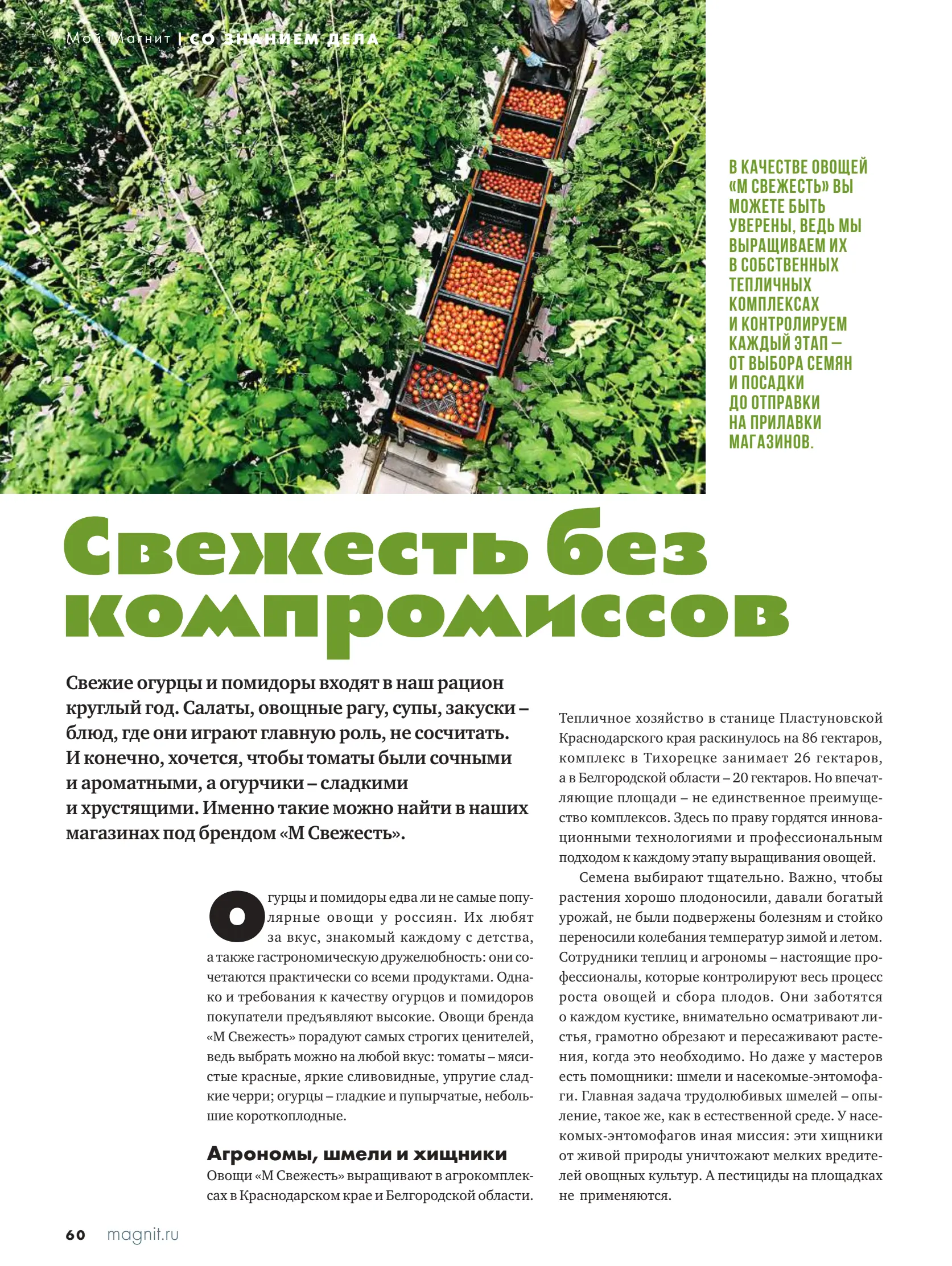 Журнал Магнит страница 61