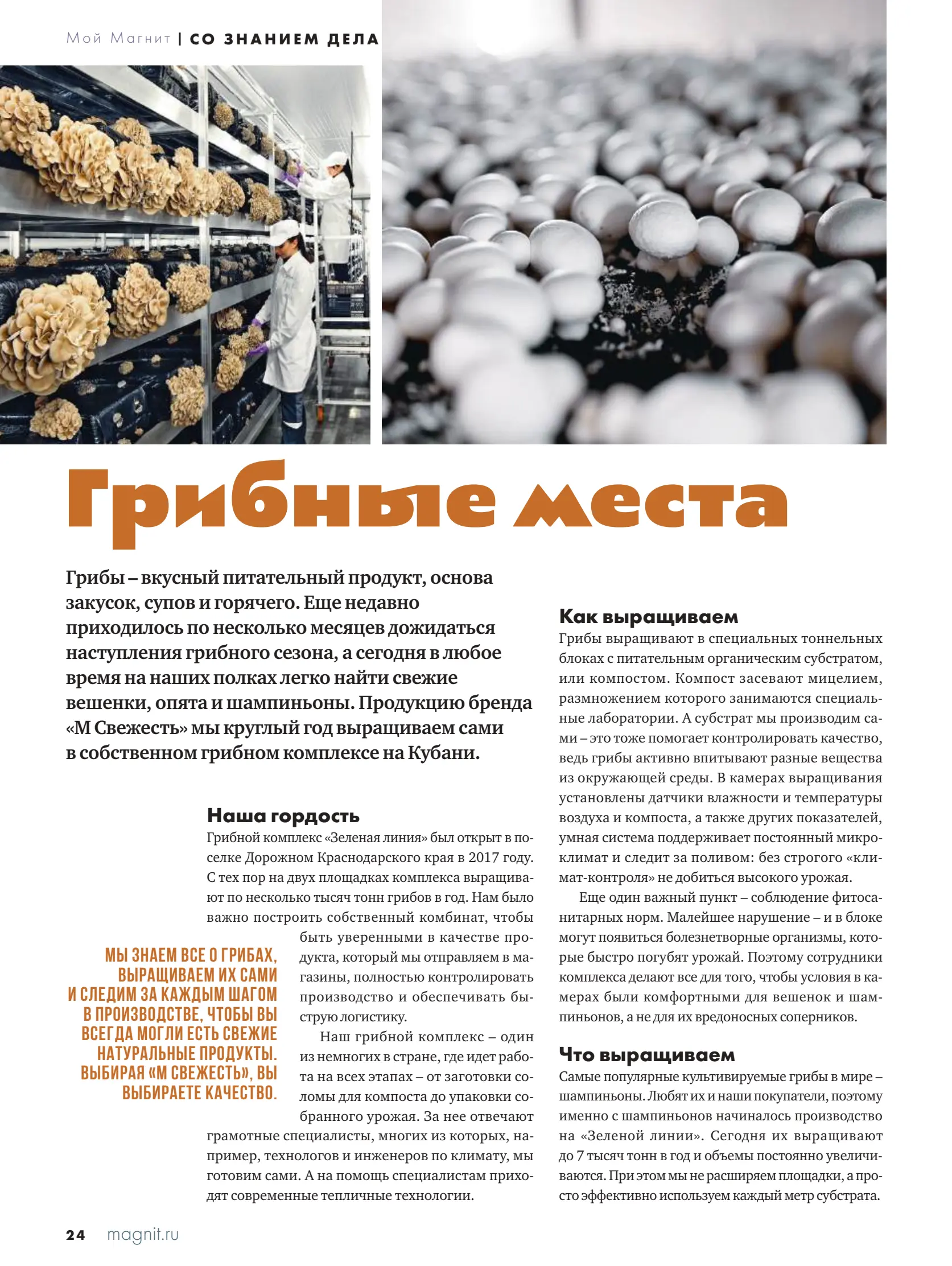 Журнал Магнит страница 25