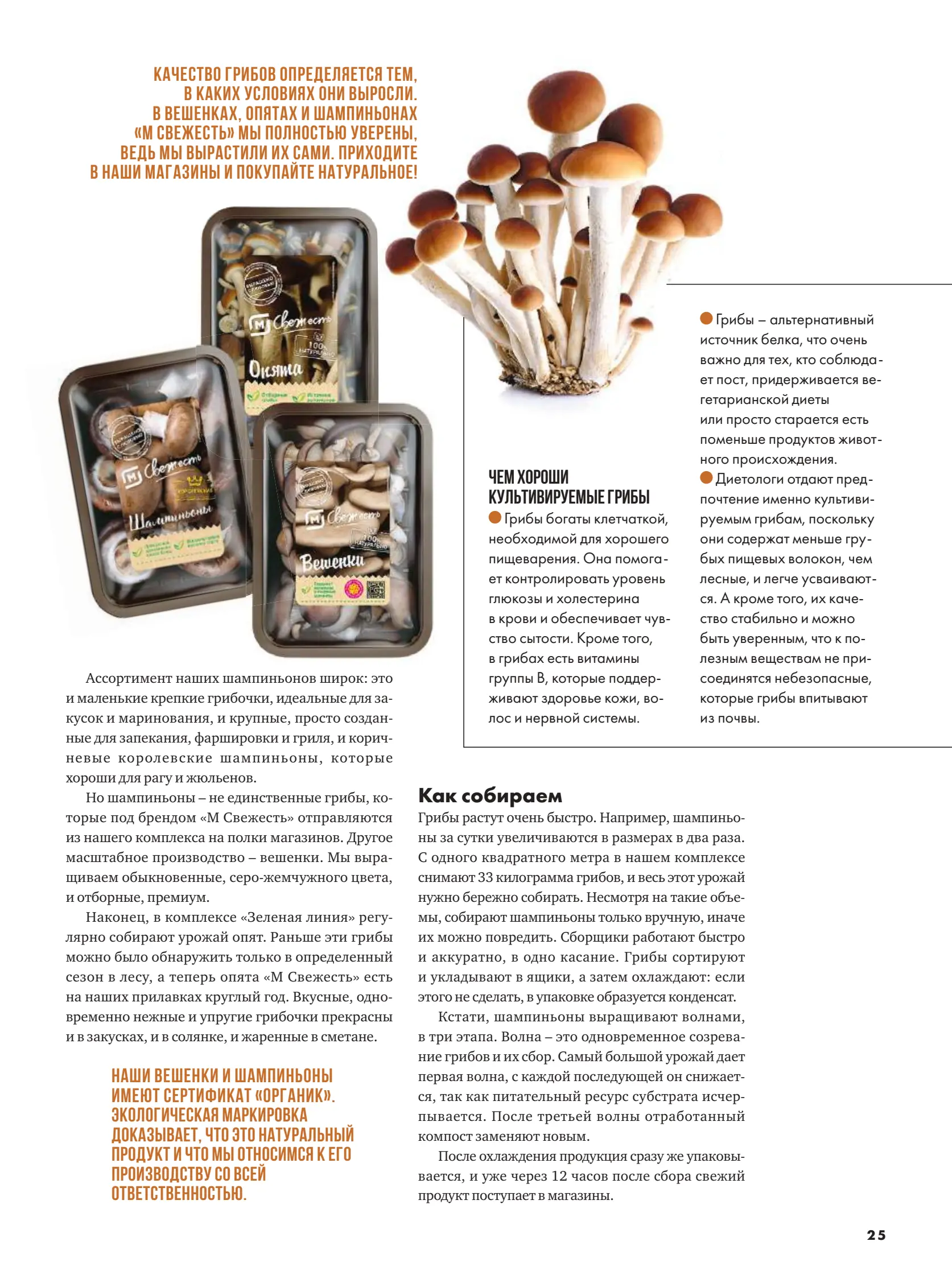 Журнал Магнит страница 26