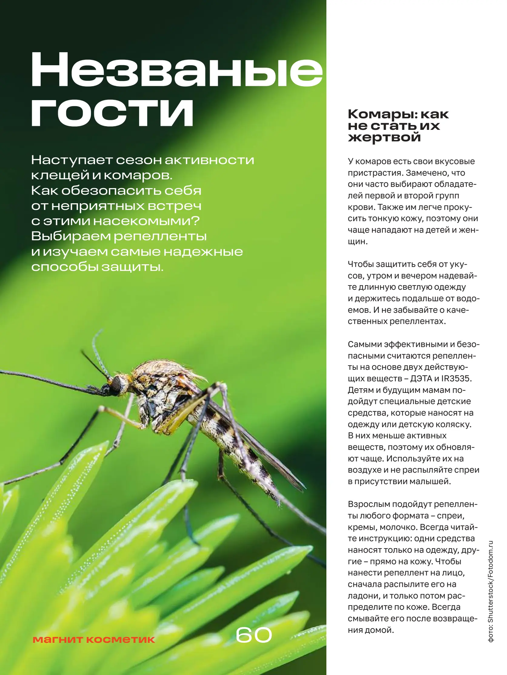 Журнал Магнит страница 61