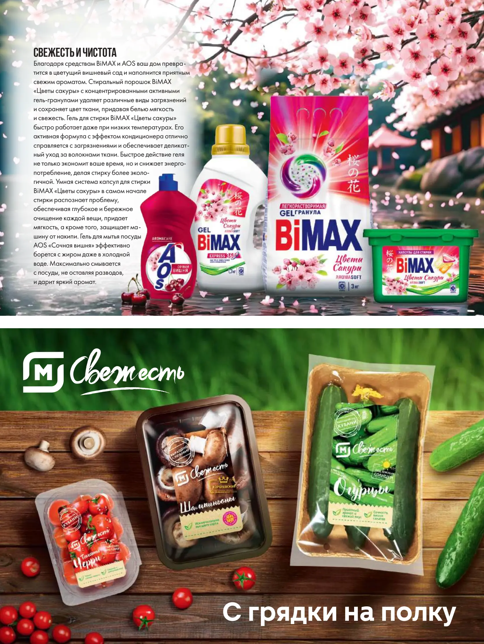 Журнал Магнит страница 13