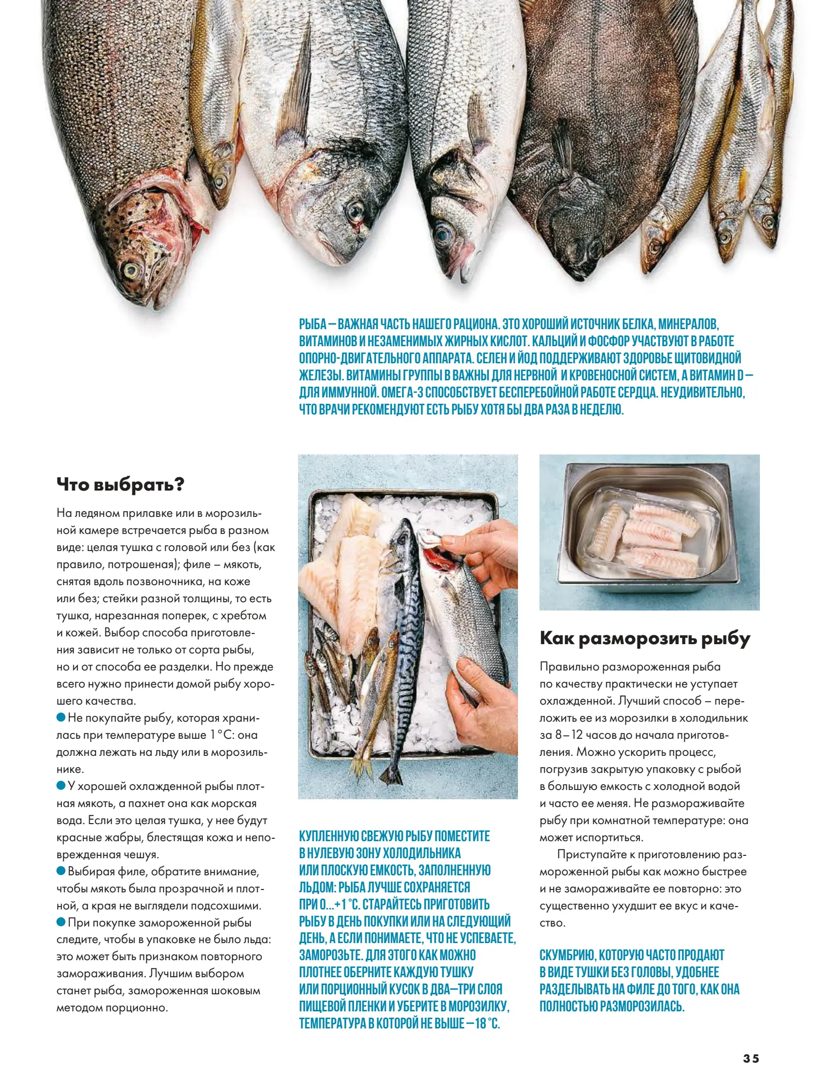 Журнал Магнит страница 36