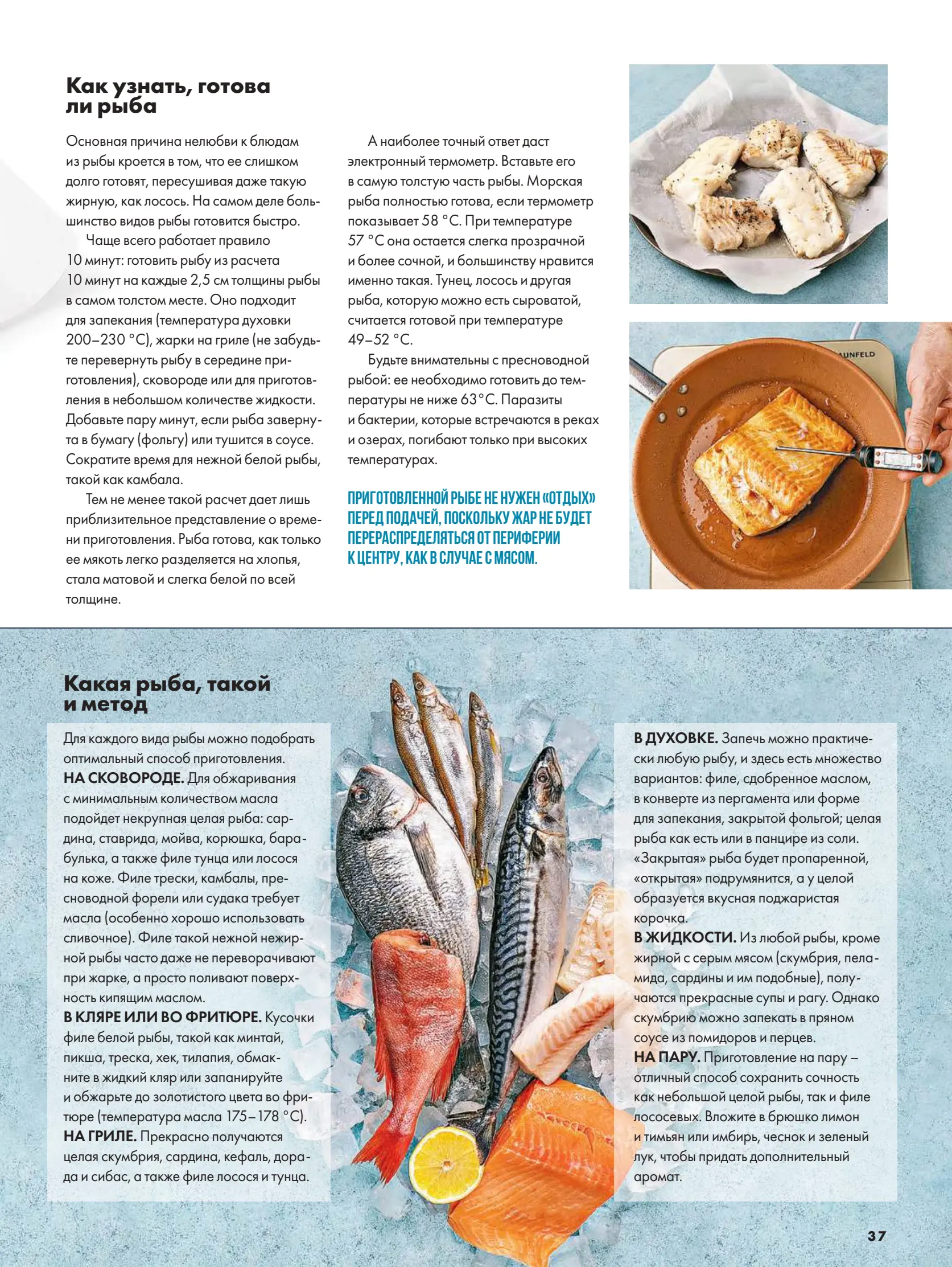 Журнал Магнит страница 38