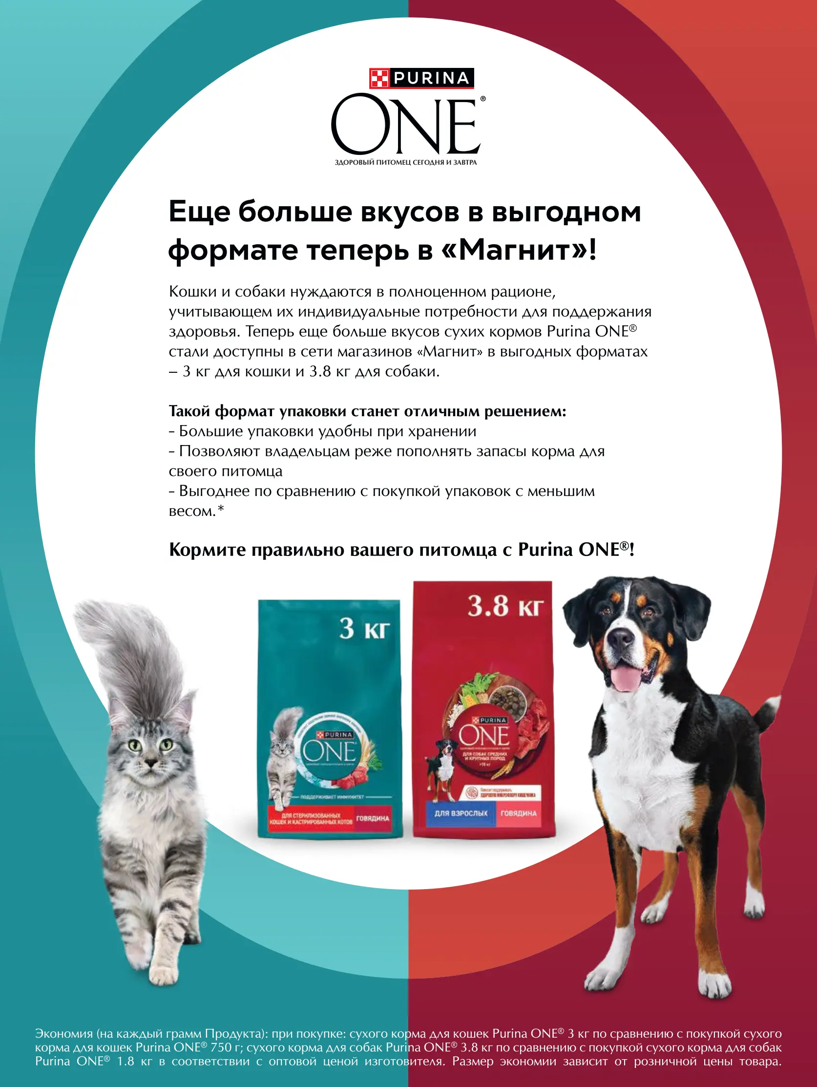 Журнал Магнит страница 98