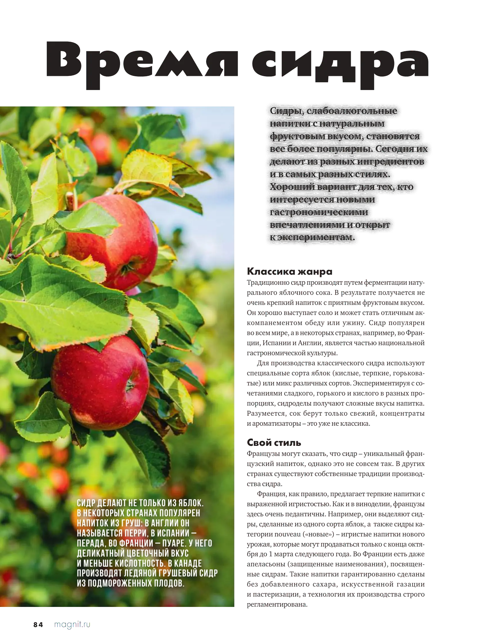 Журнал Магнит страница 85