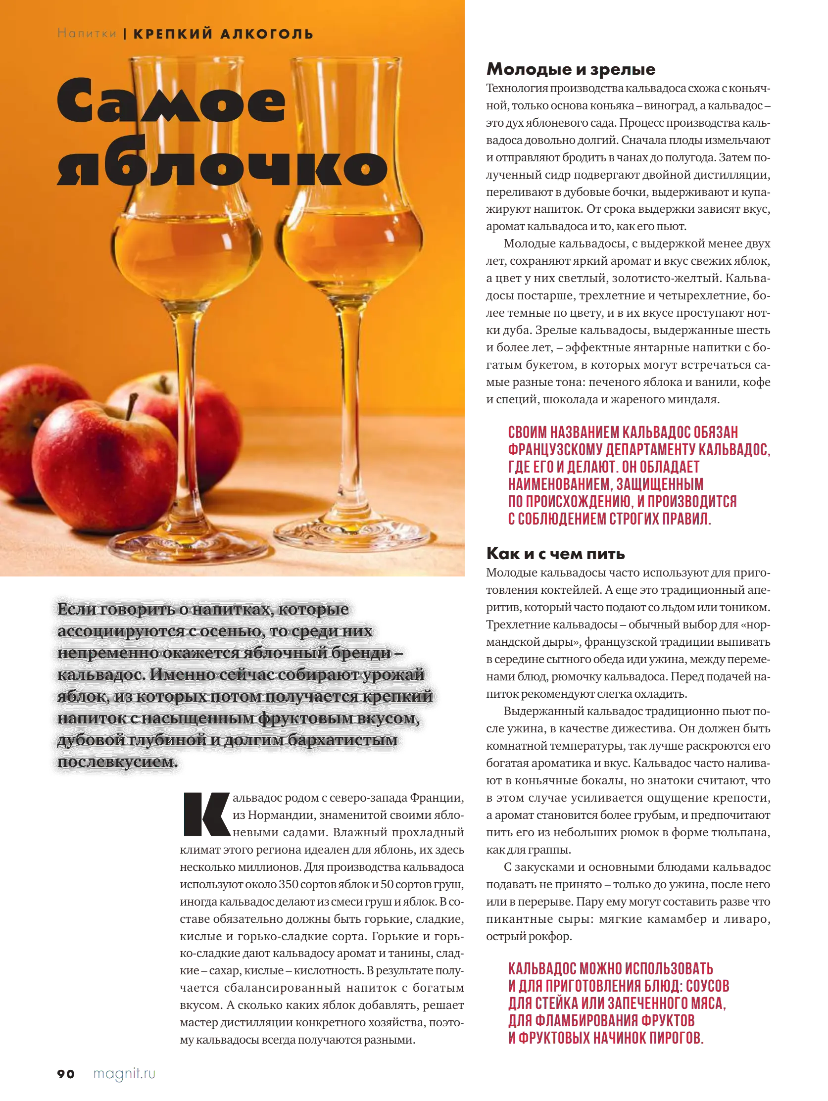 Журнал Магнит страница 91