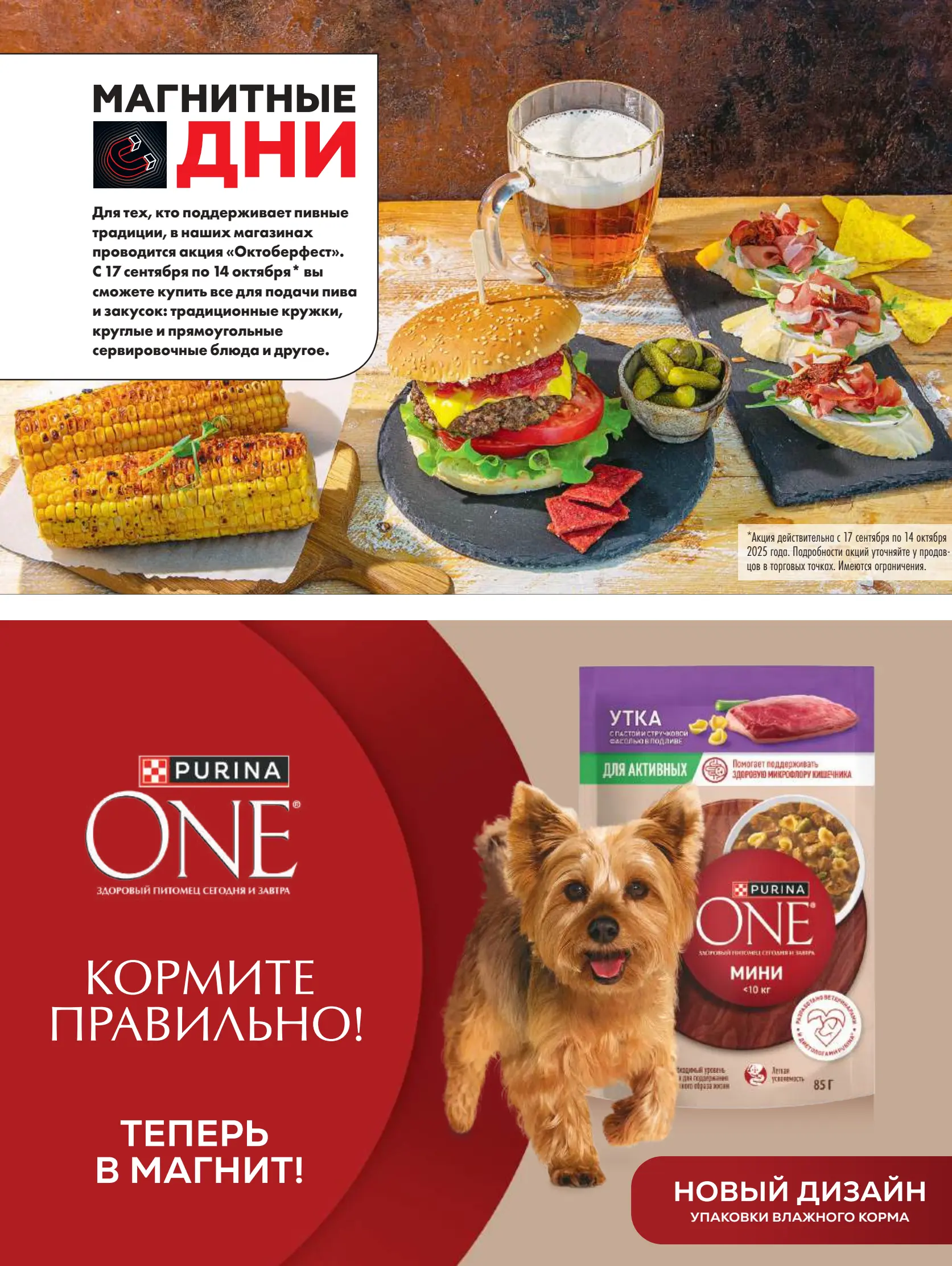 Журнал Магнит страница 104