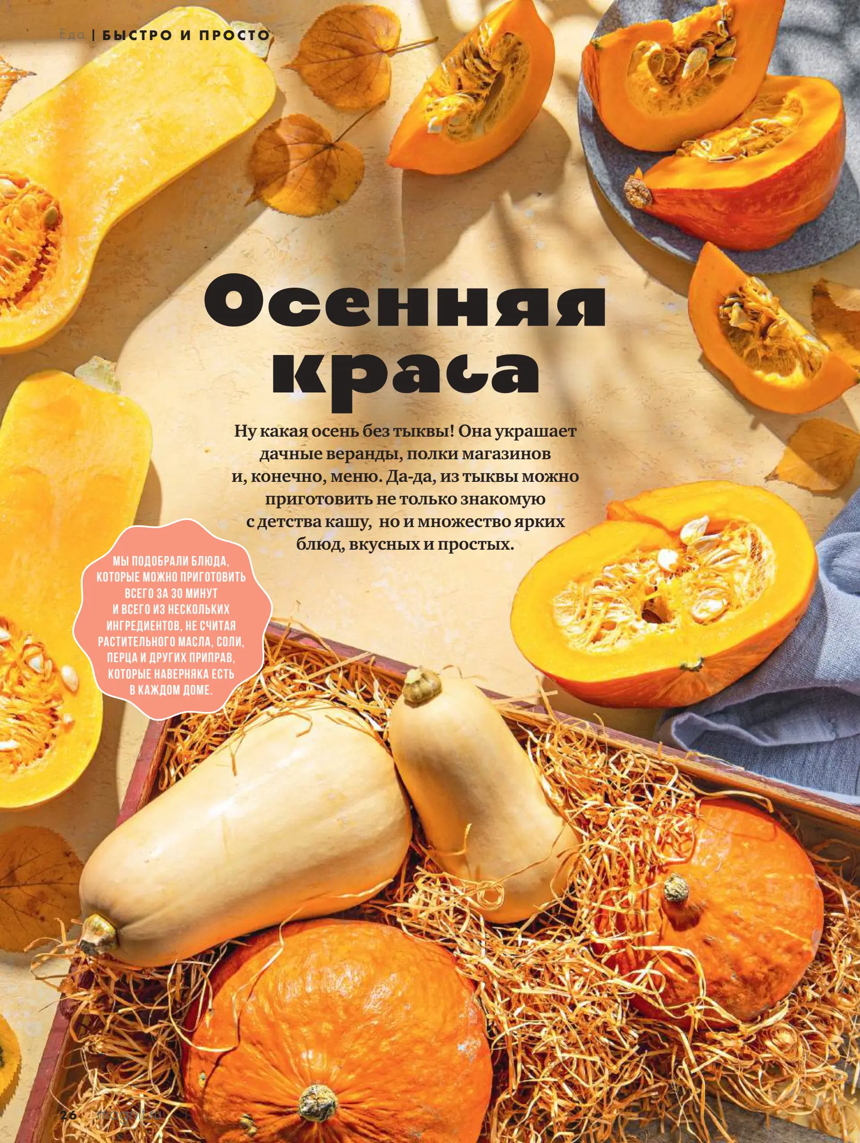 Журнал Магнит страница 27