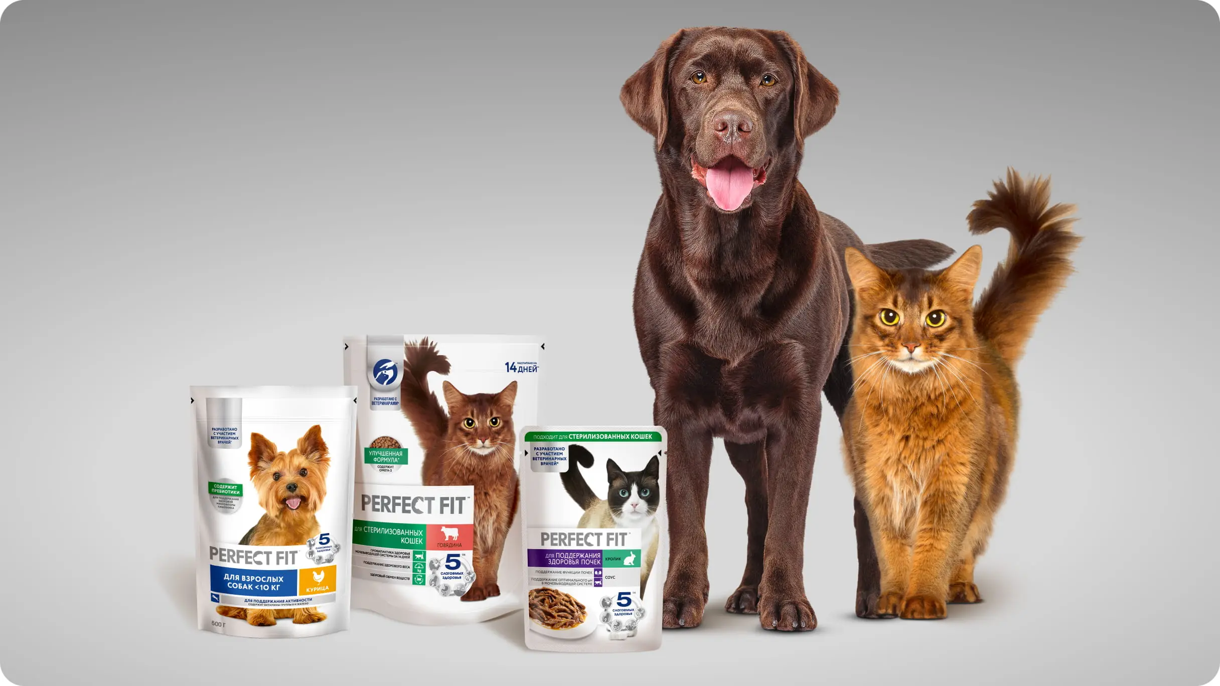 Выиграйте мега бокс со смартфоном и другими призами