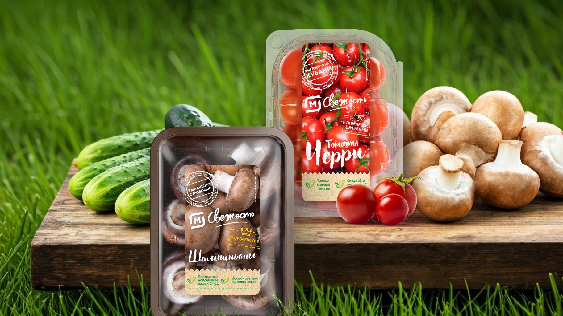 М Свежесть: с грядки на полку со скоростью свежести!