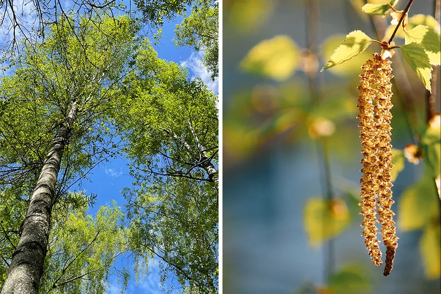 Фото автора Аси Кудрявцевой