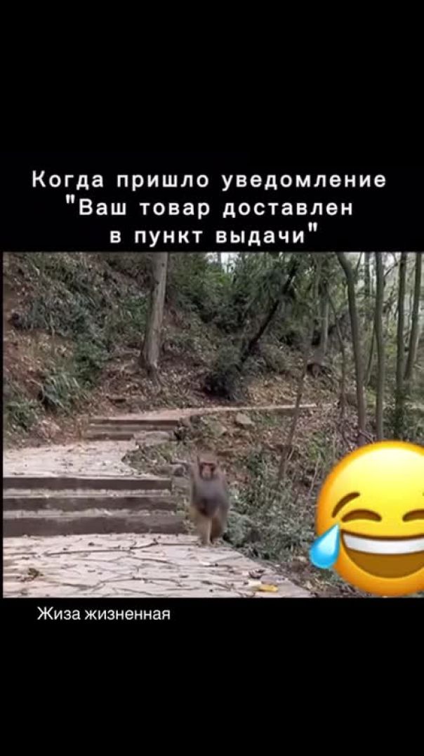 🤣🤣🤣