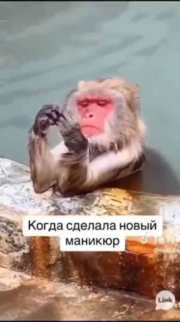 Когда сделала новый маникюр 😆  😁