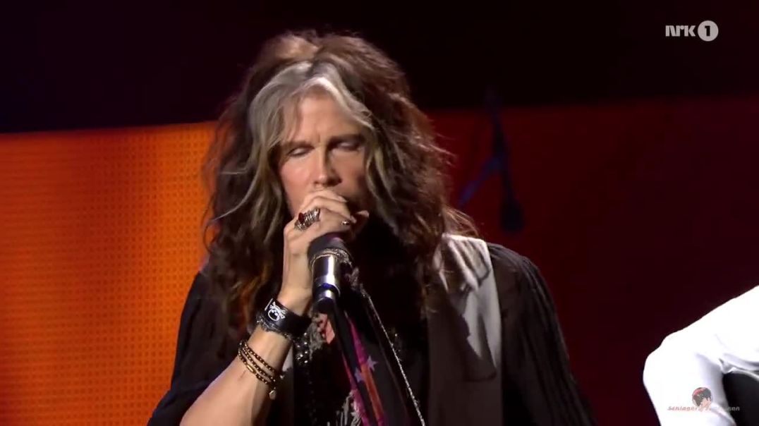 ⁣Steven Tyler & Nuno - More than words - 2014