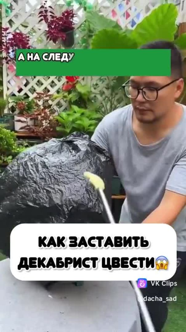 4_5878786737517365565