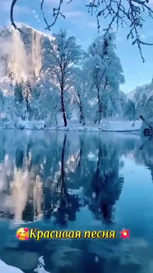 MOV_20251229_071039_299