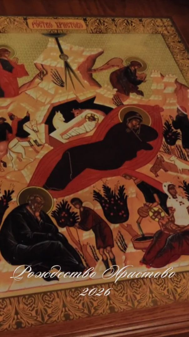 Рождество Христово ✨🕊️🤍