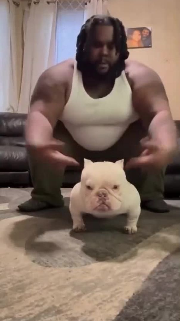 Питомцы похожи на своих хозяев