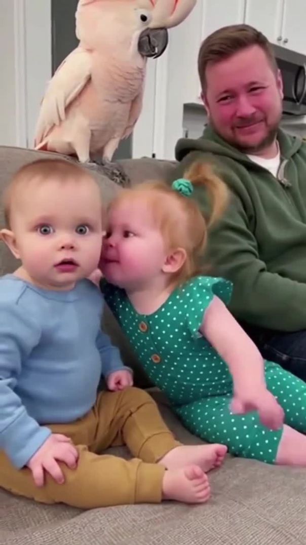 Разговор по душам