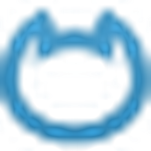 NetCat