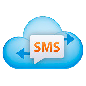 Получение данных из SMS Deliverer