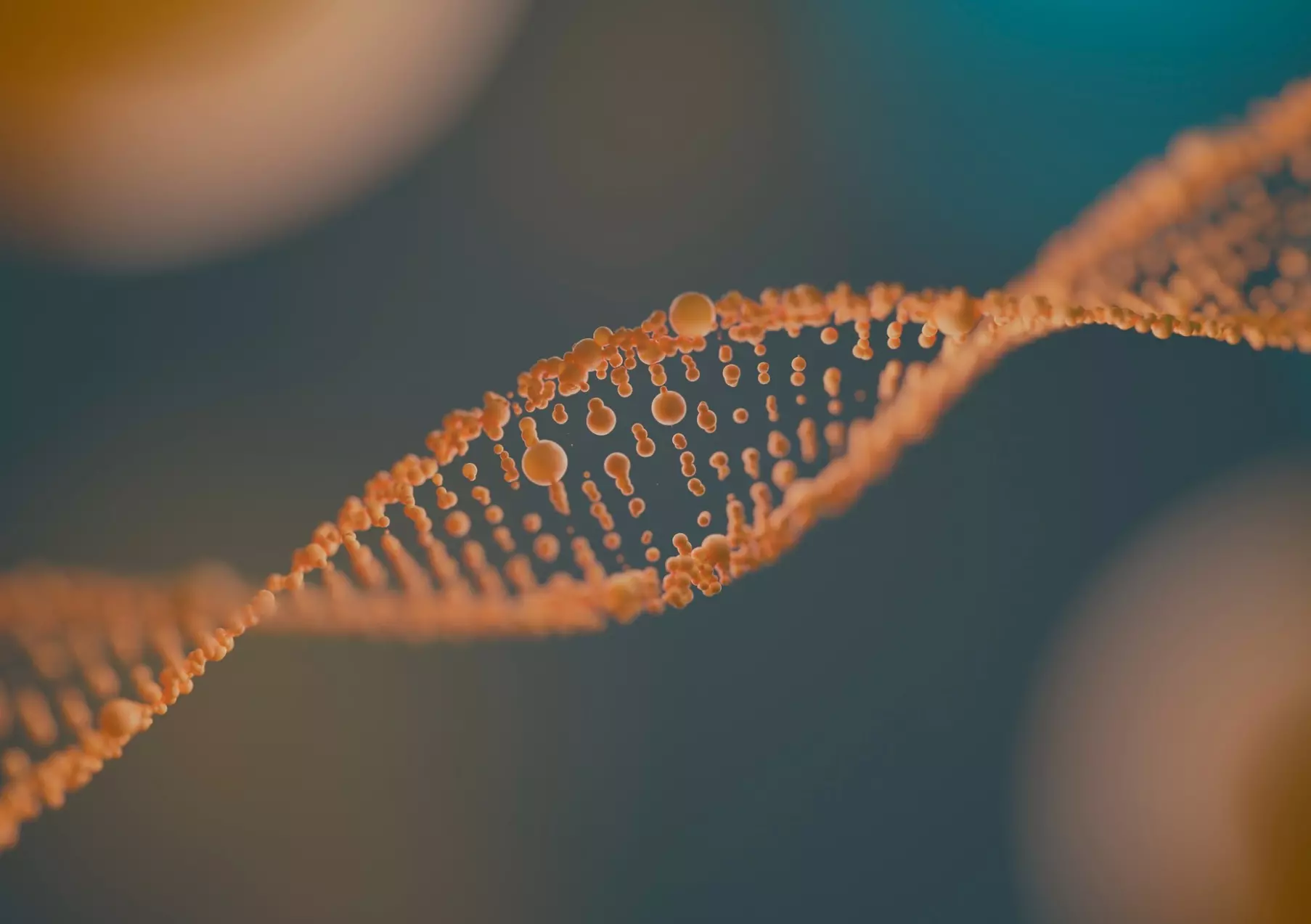 секвенирование гена 16S рРНК