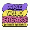 Groseille De Spontanée