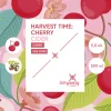 Harvest Time: Cherry