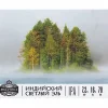 Индийский Светлый Эль | IPA
