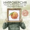 Интроверсия