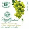 Предвкушение (BA Grappa 2017 year ed.)