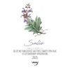Salie (2025 - Bottle)