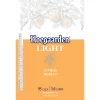 Hoegaarden Light