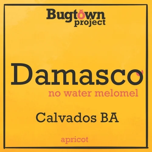 Damasco. Calvados BA