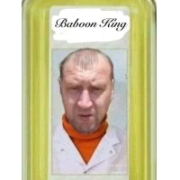 Baboon King