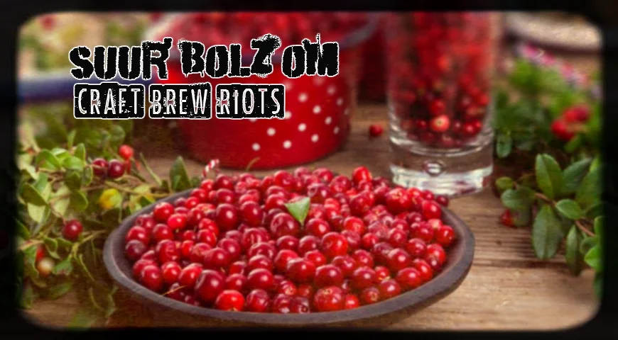 Suur’ Bolžom