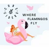 Where Flamingos Fly
