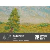 OLD PINE / Старая Сосна