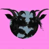 Black Goat