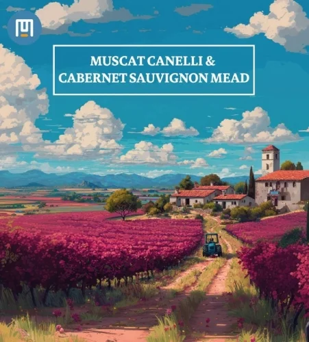 Muscat Canelli & Сabernet Sauvignon Mead