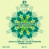Kaleidoscope of Hops: Azacca, Simcoe, Citra & Chinook