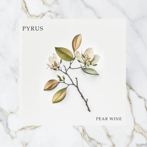 Pyrus