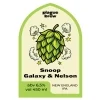 Snoop Galaxy & Nelson