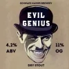 Evil Genius